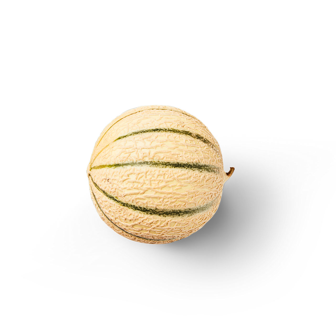 Galia of cantaloupe meloen