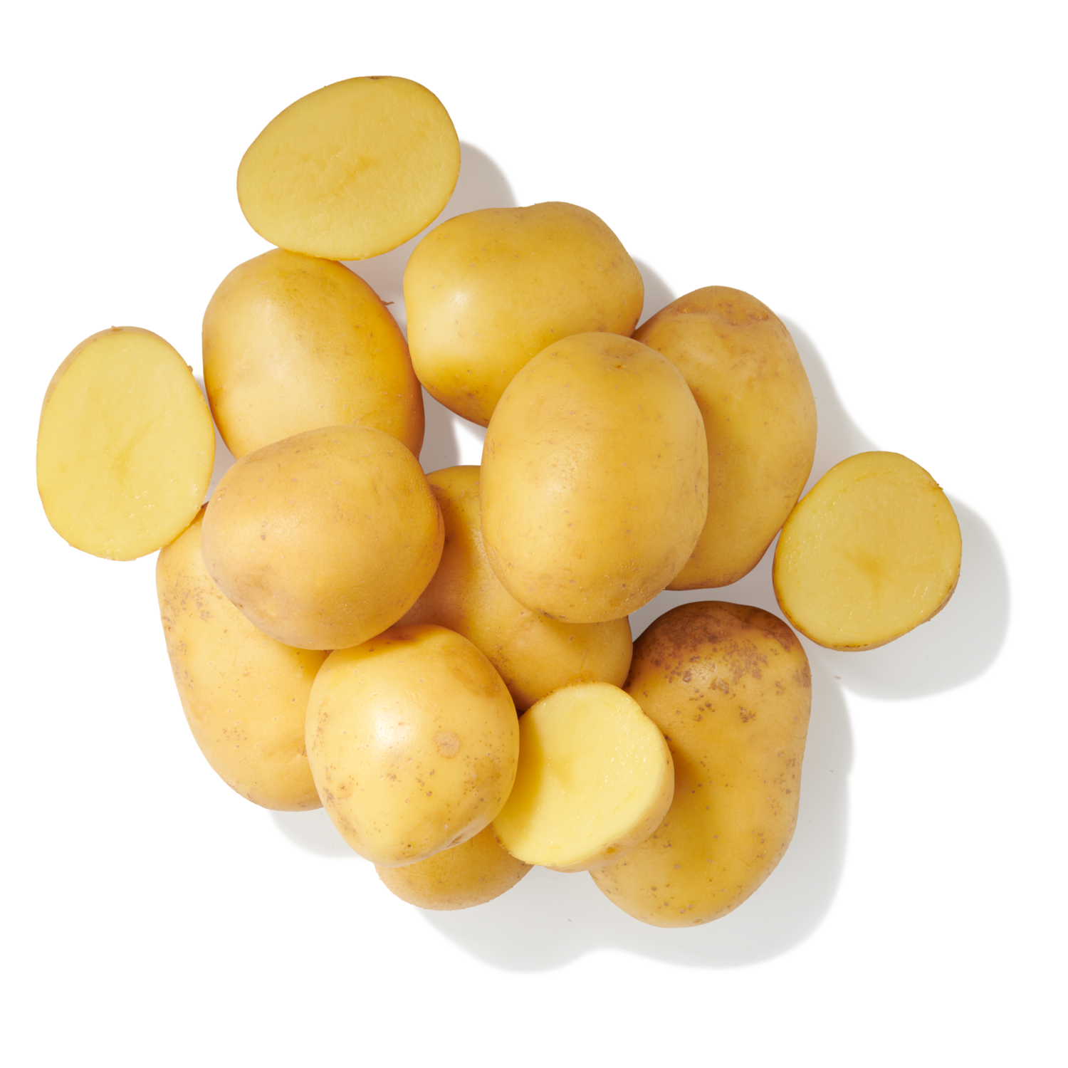 Hollandse vastkokende Nicola aardappelen